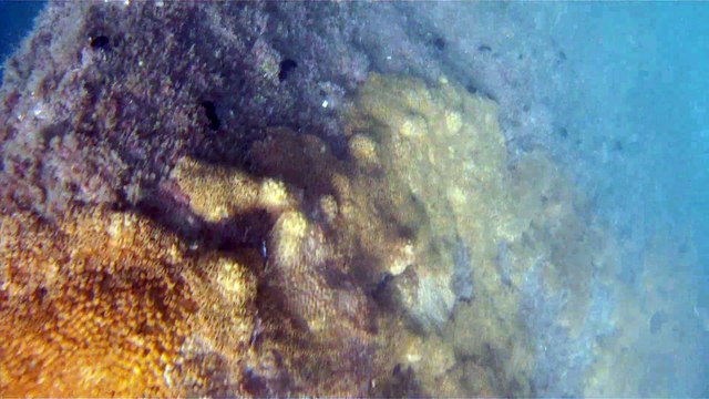 Praias, Mares, Barcos, Canoagem, Mar Aberto, Cavernas Submarinas, Mergulhos Submarinos, Picinguaba, Ubatuba, SP, Brasil, Marcelo Ambrogi, (49)