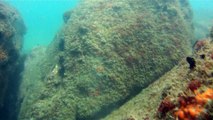 Praias, Mares, Barcos, Canoagem, Mar Aberto, Cavernas Submarinas, Mergulhos Submarinos, Picinguaba, Ubatuba, SP, Brasil, Marcelo Ambrogi, (62)