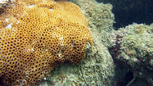 Praias, Mares, Barcos, Canoagem, Mar Aberto, Cavernas Submarinas, Mergulhos Submarinos, Picinguaba, Ubatuba, SP, Brasil, Marcelo Ambrogi, (66)