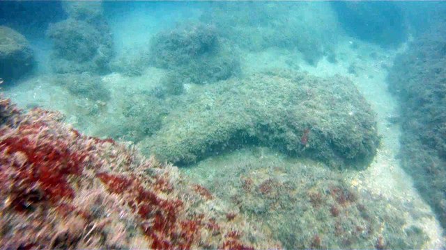 Praias, Mares, Barcos, Canoagem, Mar Aberto, Cavernas Submarinas, Mergulhos Submarinos, Picinguaba, Ubatuba, SP, Brasil, Marcelo Ambrogi, (67)