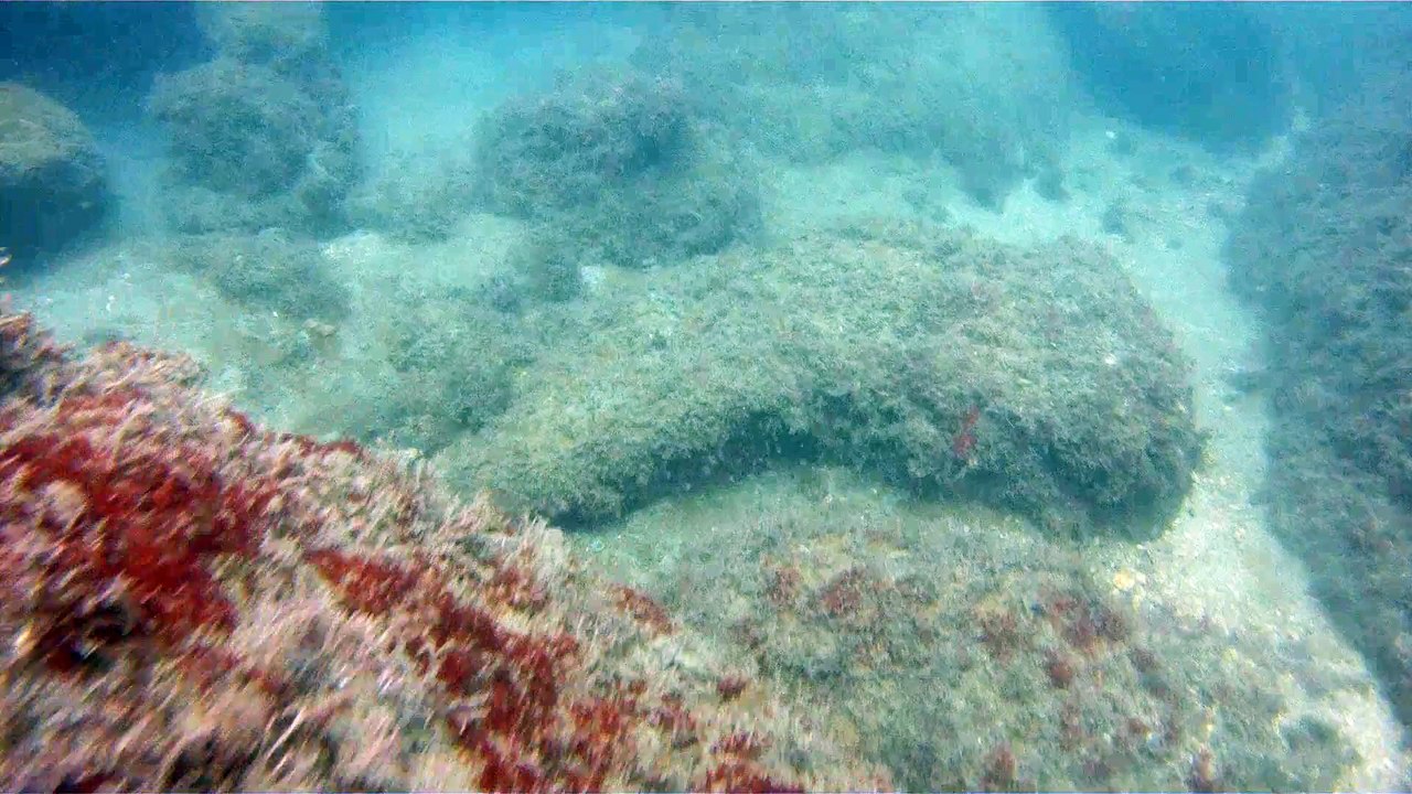 Praias, Mares, Barcos, Canoagem, Mar Aberto, Cavernas Submarinas, Mergulhos Submarinos, Picinguaba, Ubatuba, SP, Brasil, Marcelo Ambrogi, (67)