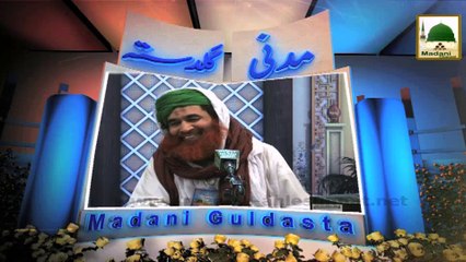 Maulana Ilyas Qadri - Madani Guldasta (645) - Food Poison and Refrigerated Meat
