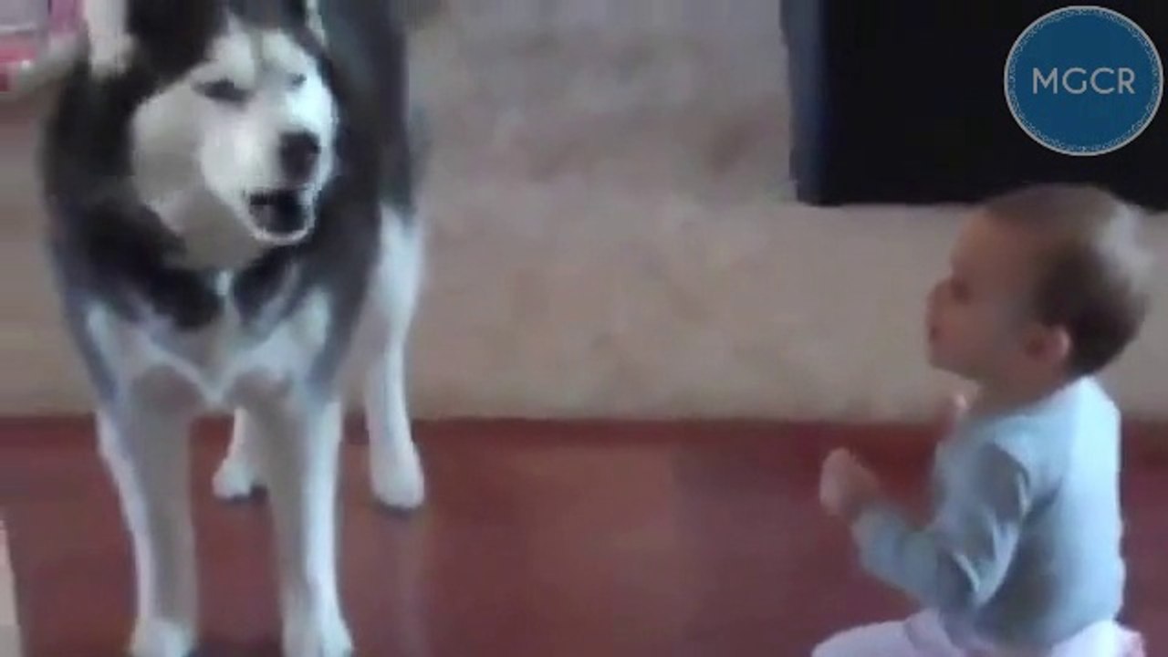 Incredibile discorso tra un bimbo ed il suo cane