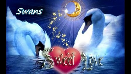 "Лебеди"... ... (music Fausto Papetti -saxophone) ... ( с поезията на Миночка Митева) ...