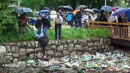 Restore your faith in humanity in 4 minutes flat