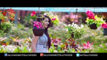 Nuvvu Nenu Okatavudam Theatrical Trailer - Ranjith Somi, Sana