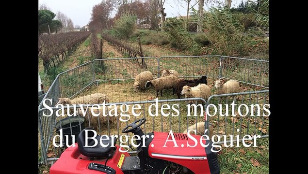 INNONDATION MARAIS SALANTS DE PORTIRAGNES