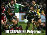watch Petrarca Padova vs Calvisano online rugby in hd