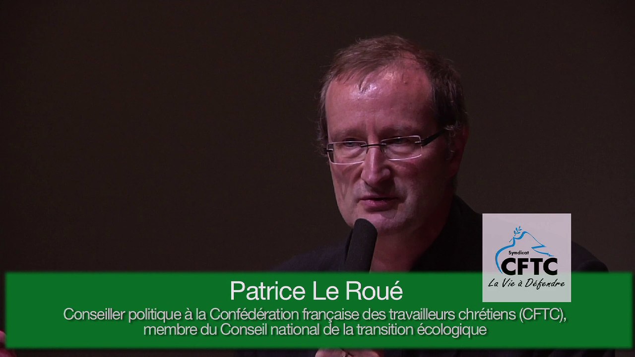 D/05 Patrice Le Roué - La démocratie au défi de la transition