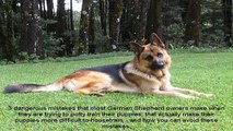 Training German Shepherd Dogs And Puppies Video