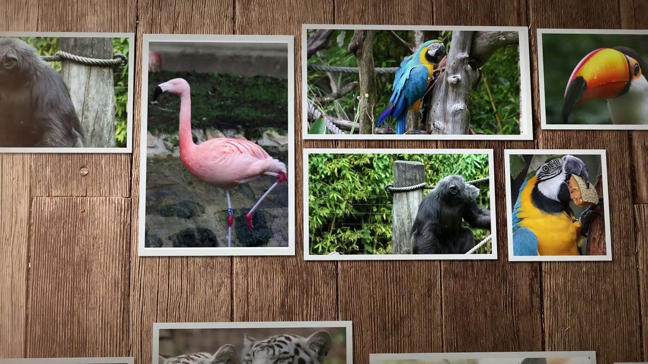 Photoyage montage AE24