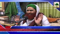 News Clip - Madani Muzakra Ameer e Ahlesunnat Kay Madani Phool Aur Aashiqan e Rasool Say Mulaqat - 31 Oct 2014