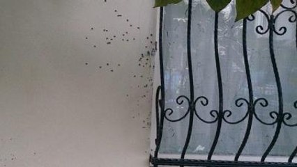 CHP'li Başkanın Evine Silahlı Saldırı