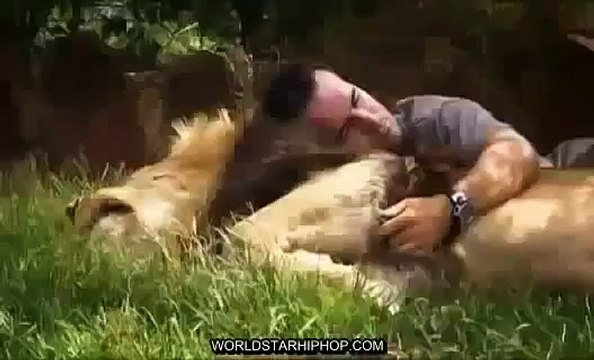 Documentary Hungry Lions National Geographic Animals, Nat Geo Wild, Discovery Channel