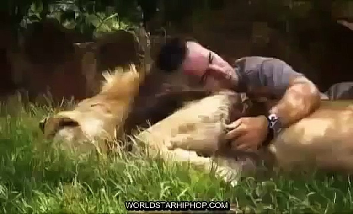 Documentary Hungry Lions National Geographic Animals, Nat Geo Wild, Discovery Channel