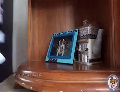 VID-20141129-WA0010.mp4