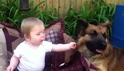 Funny Videos - Fail Compilation, Funny Pranks and Funny Clips Videos