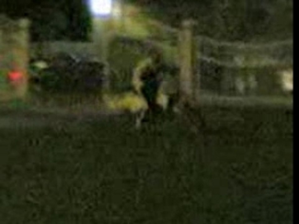 zup 59 bourgogne 125 yz