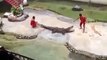 -Man Fighting With Crocodile - Amazing fight.