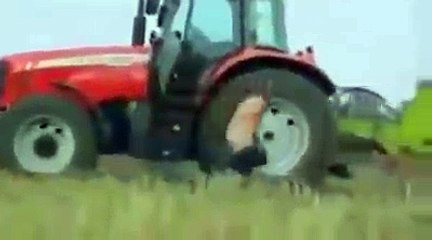 (58) Back In His Hay Day