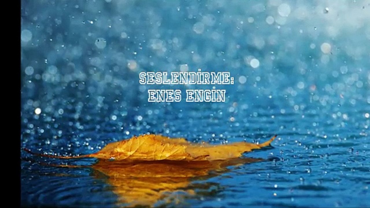 Sükûtun Çığlığı - Enes ENGİN (Sesli Şiir & Şiir Seslendirmesi)