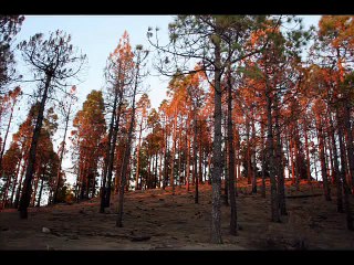 Gran Canaria (Paisajes)