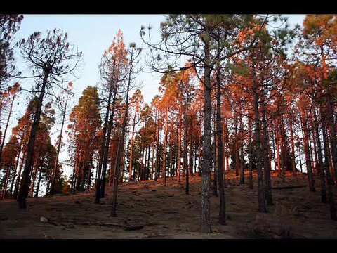 Gran Canaria (Paisajes)