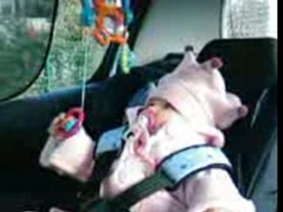 manon ds la voiture