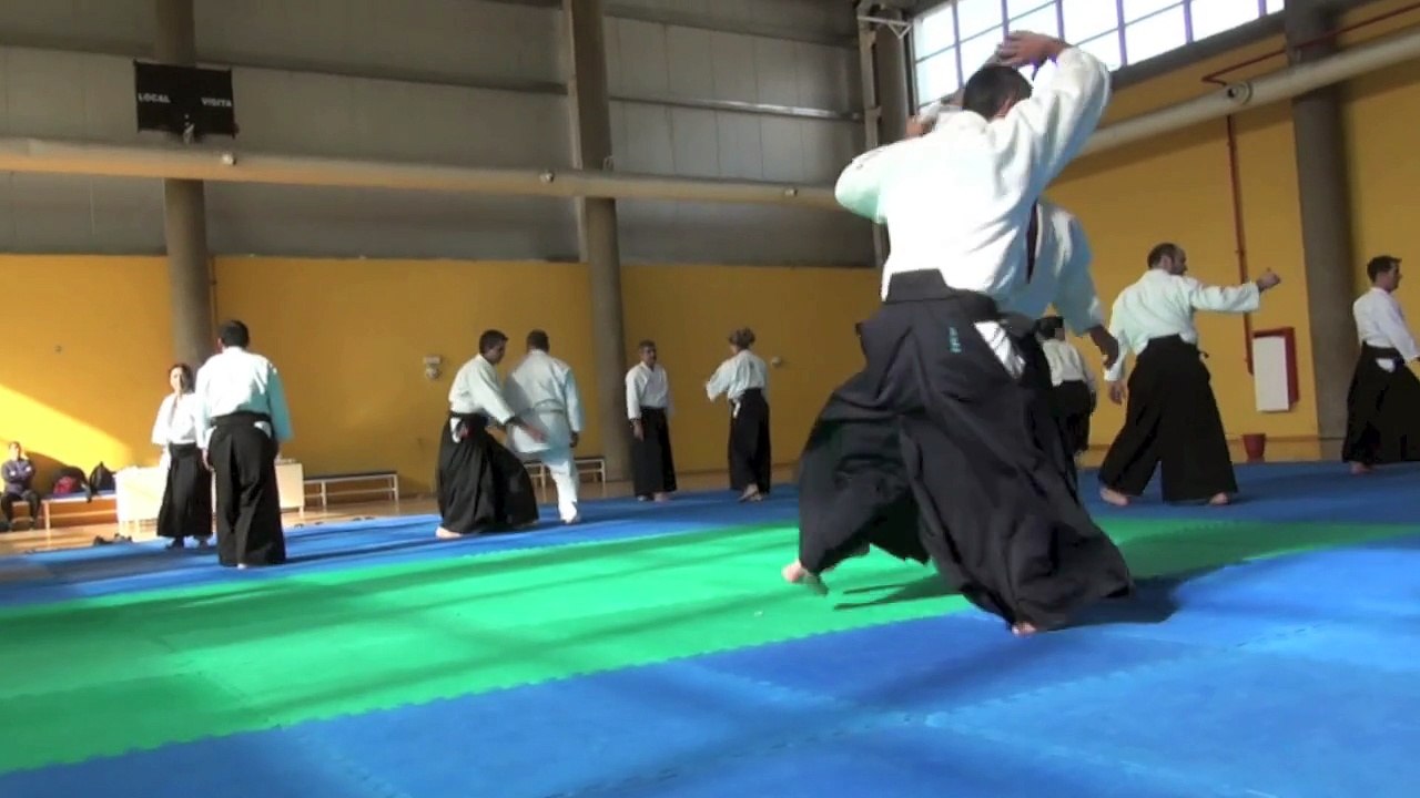 Les cahiers de l'Aikido avec Michel Erb Sensei Part 9 MA-AI
