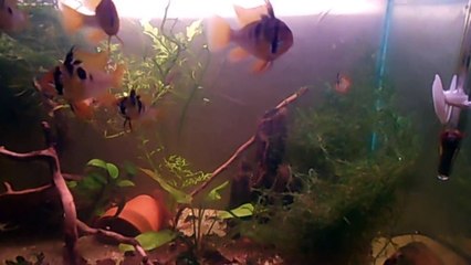 2014-11-29 2014-11-29 014