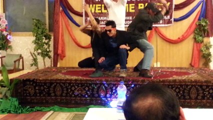 Harvard Baby Doll: A Journey of Joy