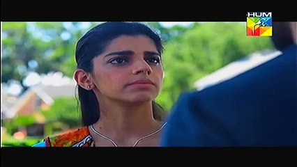 Firaaq Episode 13 Full Nov 29 2014 HUM TV Drama