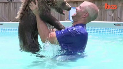 Un bébé ours fait du surf!