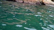 Praias, Mares, Barcos, Canoagem, Mar Aberto, Cavernas Submarinas, Mergulhos Submarinos, Picinguaba, Ubatuba, SP, Brasil, Marcelo Ambrogi, (93)