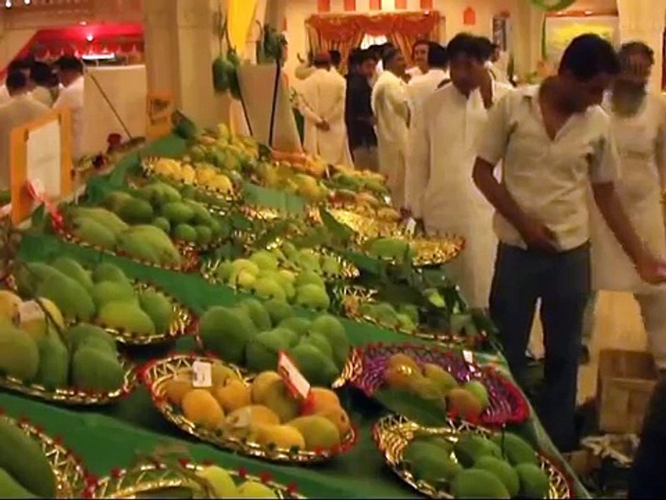 Shah' Data PKG 9 exposes Mango crop problems