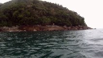 Arquipélago da Almada, navegação, mergulho submarino, Marcelo Ambrogi, Ubatuba, SP, Brasil, peixes raros, corais, (3)