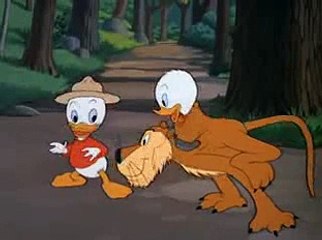 Lion Around - Donald Duck