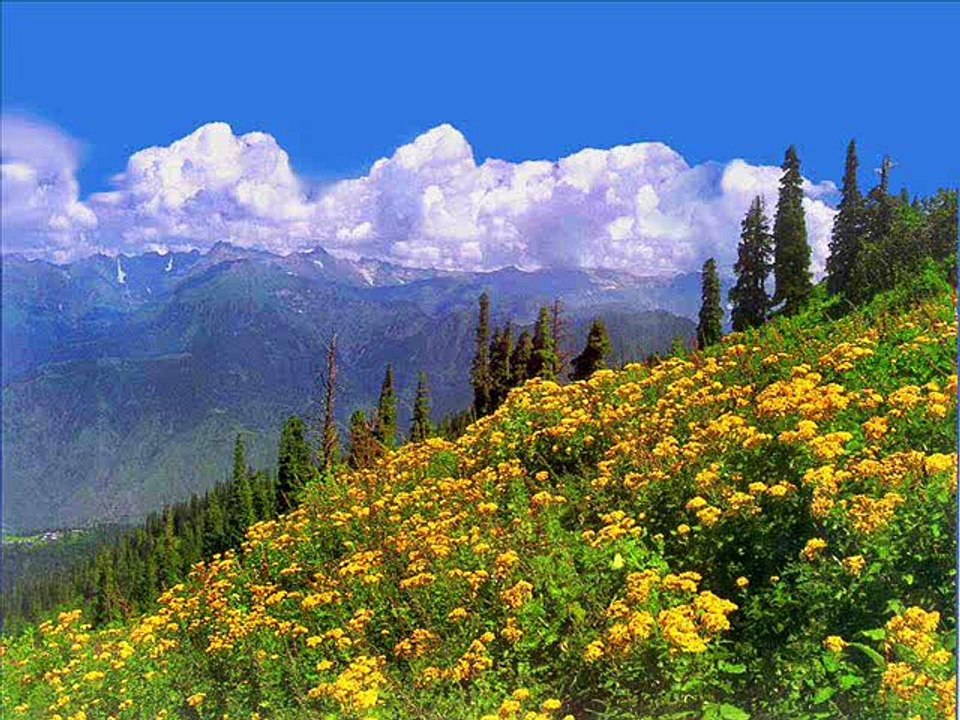 Pakistani national song sohni dharti karaoke by A Javaid