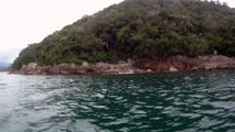 Arquipélago da Almada, navegação, mergulho submarino, Marcelo Ambrogi, Ubatuba, SP, Brasil, peixes raros, corais, (9)