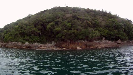 Arquipélago da Almada, navegação, mergulho submarino, Marcelo Ambrogi, Ubatuba, SP, Brasil, peixes raros, corais, (11)