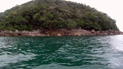 Arquipélago da Almada, navegação, mergulho submarino, Marcelo Ambrogi, Ubatuba, SP, Brasil, peixes raros, corais, (12)