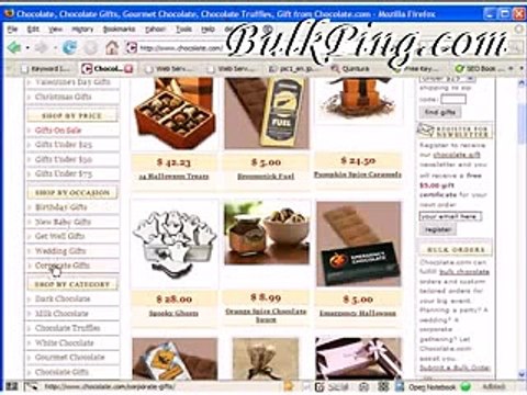 Use Keyword Elite and Learn the Techniques From Aaron Wall online seo tools bulkping video