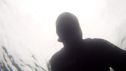 Arquipélago da Almada, navegação, mergulho submarino, Marcelo Ambrogi, Ubatuba, SP, Brasil, peixes raros, corais, (41)