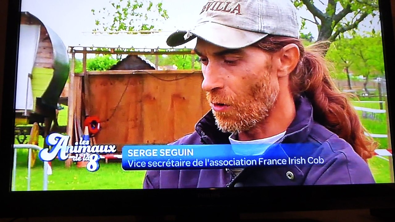 Gitan irish cob sur D8