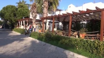 Bodrum'da Köpeklerin Zehirlenmesine Tepki