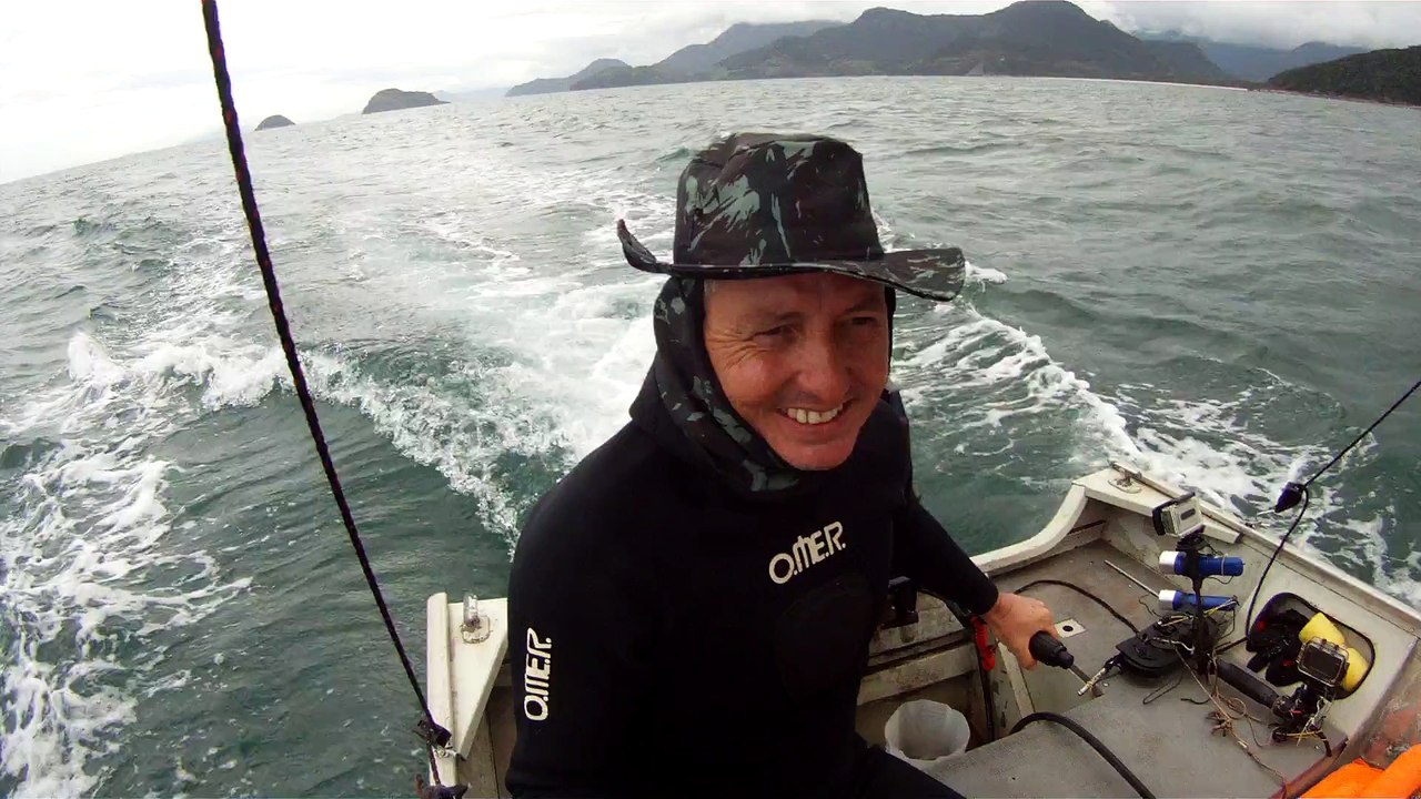 Arquipélago da Almada, navegação, mergulho submarino, Marcelo Ambrogi, Ubatuba, SP, Brasil, peixes raros, corais, (55)
