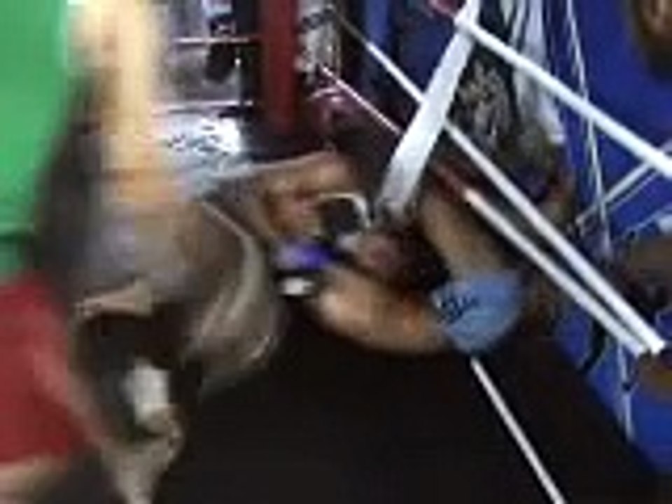 Shakeel Fight