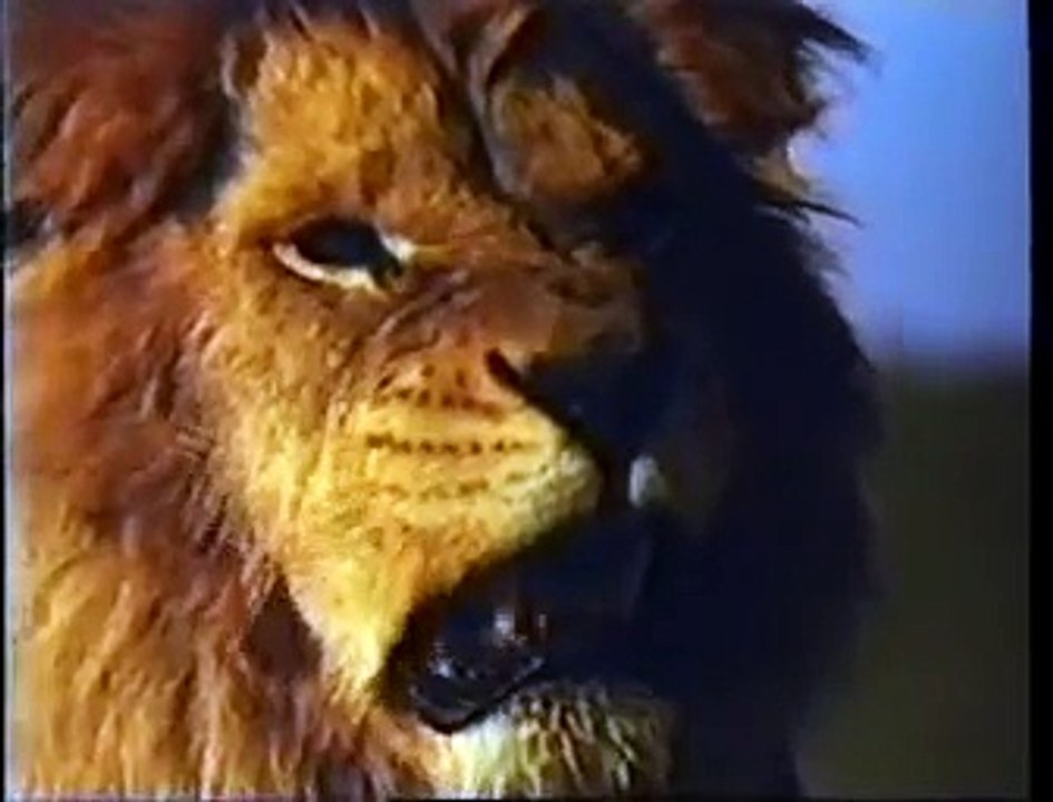 Lion BarWild Thing 1991 UK