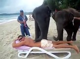 Un massage fait par des éléphants