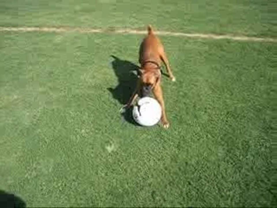 Cairo Plays Soccer
